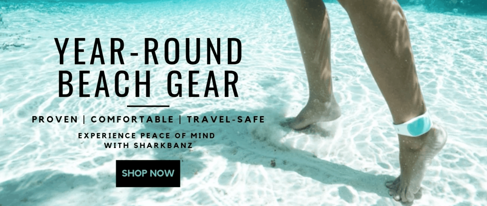 Sharkbanz Magnetic Shark Repellent -Buy Now from Sharkbanz Sharkbanz Magnetic Shark Repellent -Buy Now from Sharkbanz