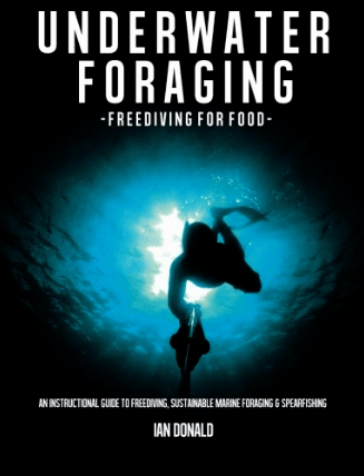Underwater foraging - Freediving for food Underwater foraging - Freediving for food