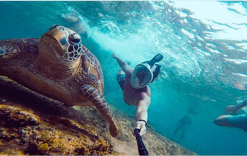 Choosing the Correct Size FFSM